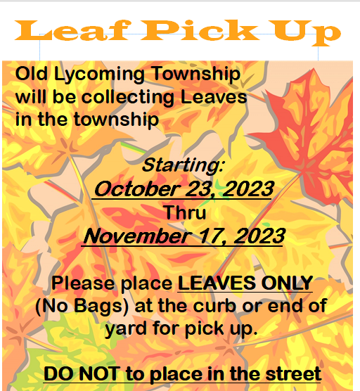 Leaf Pick Up